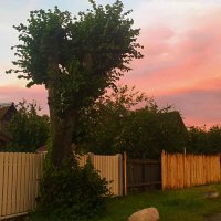 Сечении улицы города