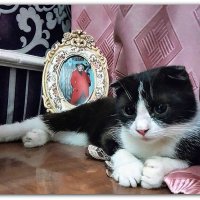 Она тоже мечтает стать моделью :: Елизавета Мур