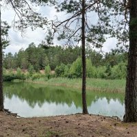 Пейзаж :: Наталья Герасимова Пейзаж :: Наталья Герасимова