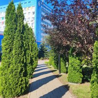 Мобильное фото
