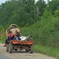 Гужевой транспорт мощностью в 1 л.с.
