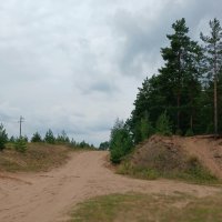 Дороги