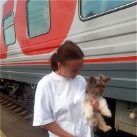 С любимым питомцем в дорогу!