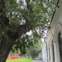 прогулки по Екатеринбургу :: Елена Шаламова