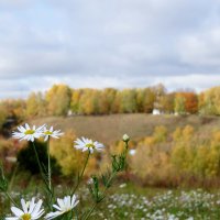 вид на Соборную гору