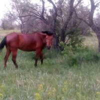 Хорошо :: Андрей Хлопонин Хорошо :: Андрей Хлопонин