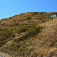 Феодосия. Гора Митридат в июле.