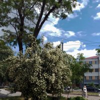 Мобильное фото :: Валентина Береснева