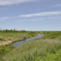 Местная река.