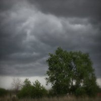 Перед грозой.