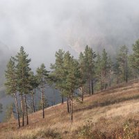 Манская петля