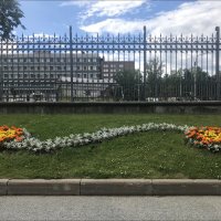 зигзаг