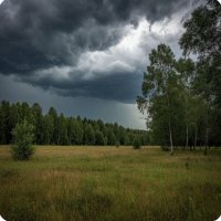 и снова будет дождь.