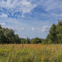 Палитра августа... :: Владимир Жданов Палитра августа... :: Владимир Жданов