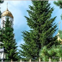 Купола