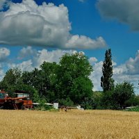 из серии " Когда я был в станице..." :: Николай Саржанов из серии " Когда я был в станице..." :: Николай Саржанов