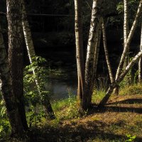 Пейзаж