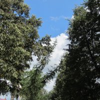 про Екатеринбург :: Елена Шаламова