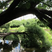 у воды
