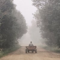 Пейзаж
