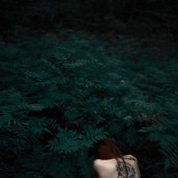 1 :: Димитър Тодоров