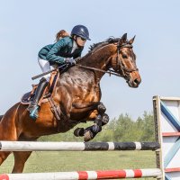 Конкур :: SanSan 