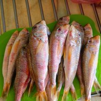 Крымские зарисовки