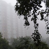 Утренний туман :: Anna-Sabina Anna-Sabina