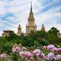 Розы в ботаническом саду