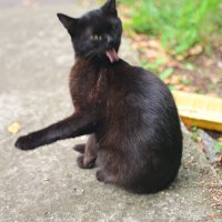 КоТоГраФия :: Константин Сафронов