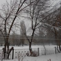 ледяной день :: Елена Шаламова