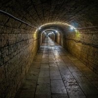 Август 2026 в Гатчине. 7