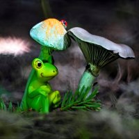 Чаща ельника всегда таит неожиданности...:-) :: Андрей Заломленков