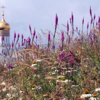 Зарядье 29 августа :: Михаил Бибичков Зарядье 29 августа :: Михаил Бибичков