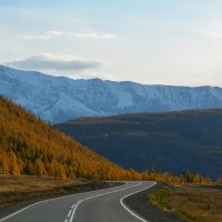 Чуйский тракт :: Валерий Медведев