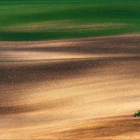 Field Runner