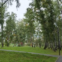Осень набирает обороты . :: Мила Бовкун