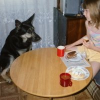 Давай,поделимся :: Андрей Хлопонин Давай,поделимся :: Андрей Хлопонин
