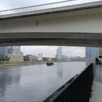 речной вид транспорта