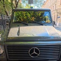 Мерс :: Лютый Дровосек