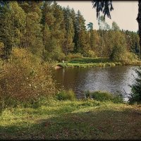 Пейзжи на озере Светлом. :: Лилия *