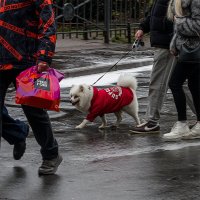 Супер. :: Александр 