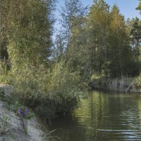 Пейзаж