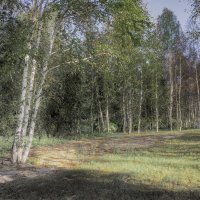 Пейзаж