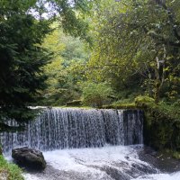 Водопад в Новом Афоне :: Татьяна Пальчикова