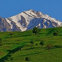 ПРОГУЛКА.