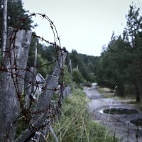 колючка :: Артём Евтюхов