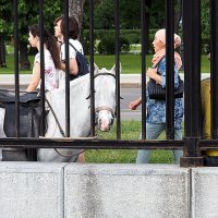 и меня сфотографируй :: Олег Лукьянов и меня сфотографируй :: Олег Лукьянов