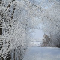 зимы прекрасные моменты