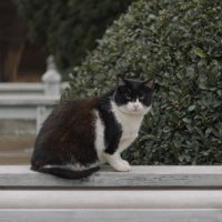 Мартовский привет из Ялты.